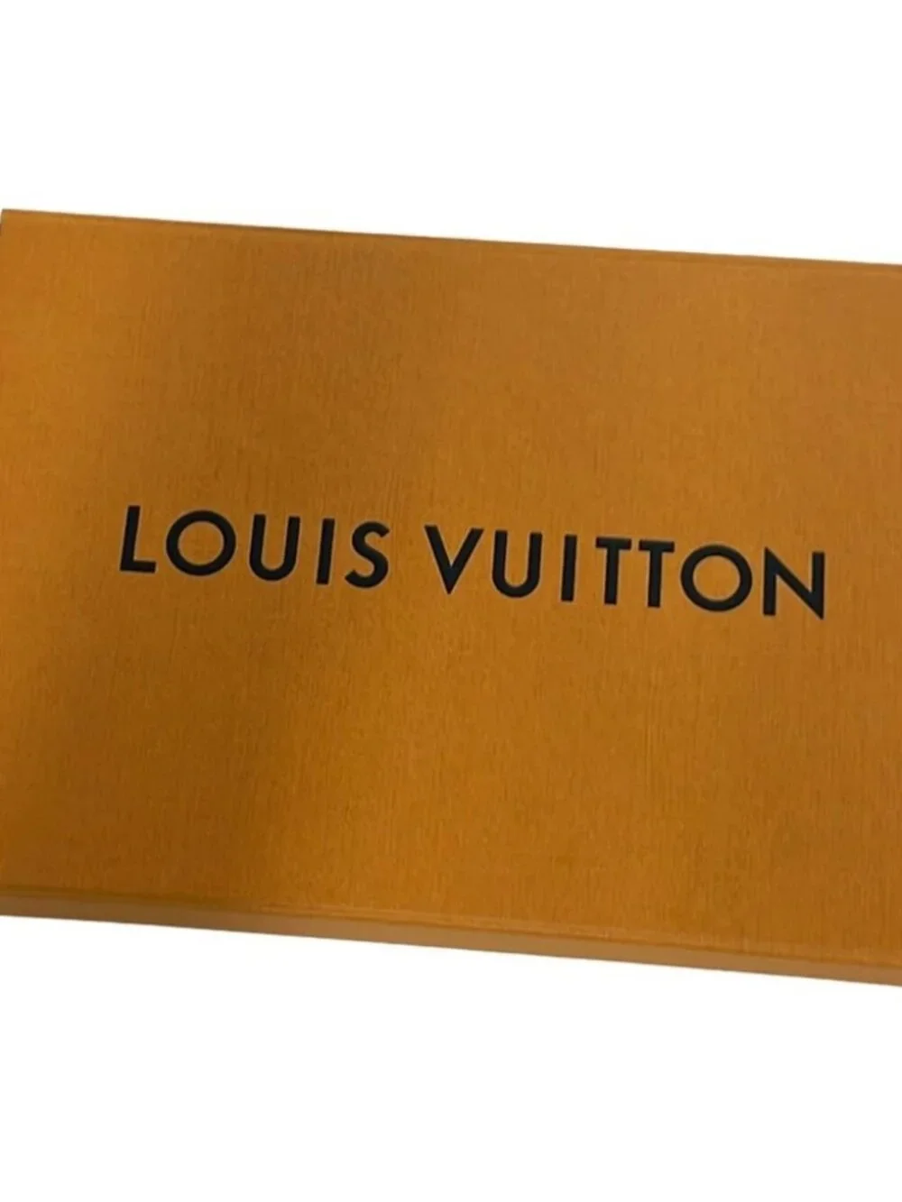 LOUIS VUITTON Black 401910 Scarf Silk Nylon